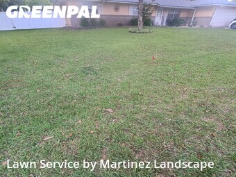 Lawn Cut nearby Ocala, FL, 
