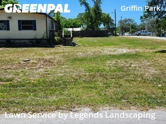 Grass Cut nearby New Port Richey, FL, 