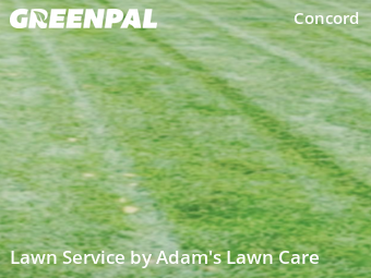 Lawn Cutting nearby St. Louis, MO, 