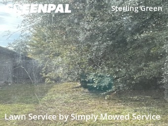 Yard Upkeep in Channelview, 77530, Property Maintenance by Simply Mowed Service, work completed in Dec , 2025