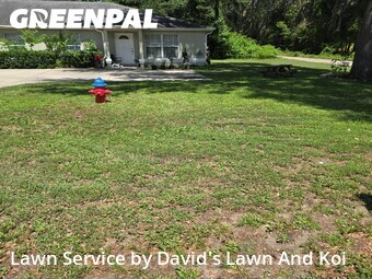 Lawn Cut nearby Ocala, FL, 
