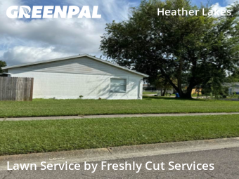 Grass Services in Brandon, 33511, Lawn Management by Freshly Cut Services, work completed in Dec , 2025
