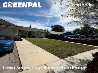 Lawn Mow nearby Los Angeles, CA, 