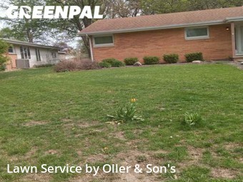 Grass Cutting nearby Springfield, IL, 
