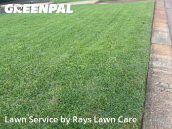 Lawn Cutting nearby Harvey, LA, 