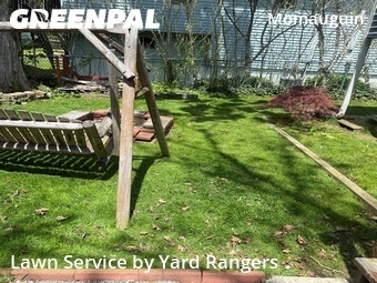 Yard Cutting nearby East Haven, CT, 