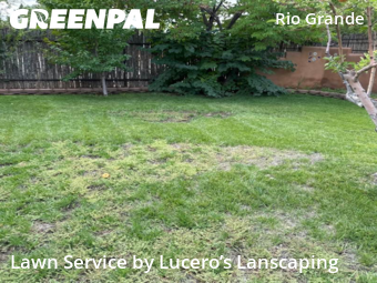 Lawn Mow nearby Los Ranchos De Albuquerque, NM, 