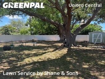 Yard Cutting nearby St. Petersburg, FL, 