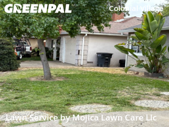 Work completed by local-lawn-cutting-services-in-Sacramento-CA