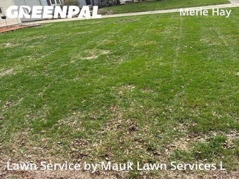 Lawn Mowing Service nearby Des Moines, IA, 