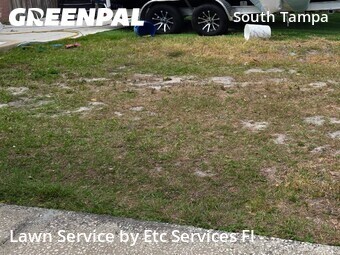 Lawn Maintenance nearby Tampa, FL, 