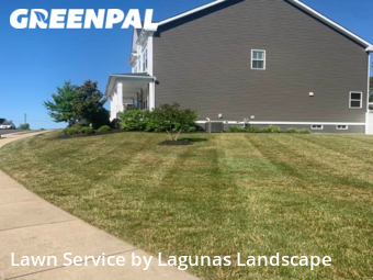 Grass Cut nearby Stafford, VA, 