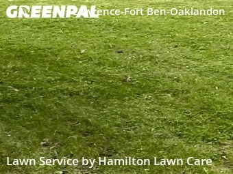 Grass Cut nearby Indianapolis, IN, 