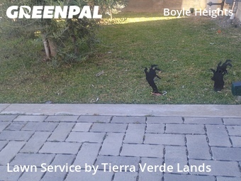 Lawn Care nearby Los Angeles, CA, 