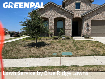 Grass Cut nearby Mc Kinney, TX, 