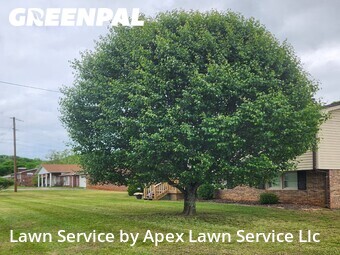 Lawn Mow nearby Kingsport, TN, 