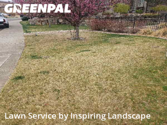 Yard Upkeep in Lone Tree, 80124, Yard Cutting by Inspiring Landscape, work completed in Nov , 2025