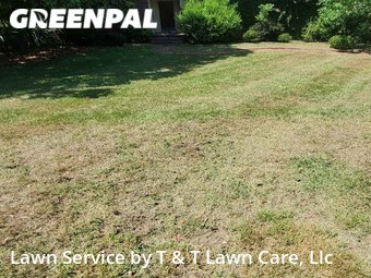 Grass Cutting nearby Greenville, SC, 