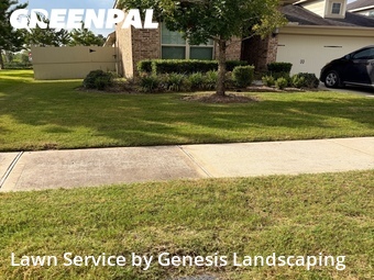 Lawn Cut nearby Shenandoah, TX, 