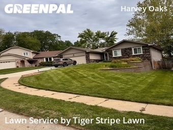 Lawn Cutting nearby Omaha, NE, 