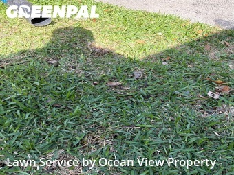 Lawn Cut nearby Greenacres, FL, 