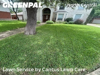 Lawn Cutting nearby San Antonio, TX, 