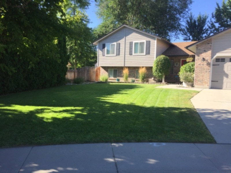 Ida Lawn Guys Lawn Care Services in Boise, ID