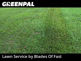 Lawn Cutting nearby Atlanta, GA, 