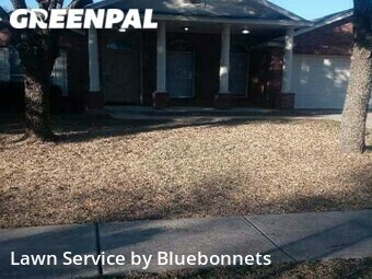 Lawn Mowing nearby Round Rock, TX, 