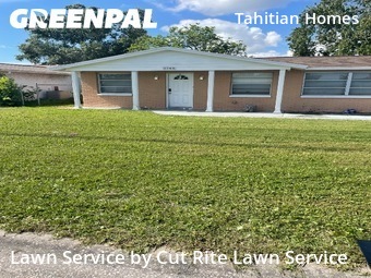 Grass Cut nearby Holiday, FL, 