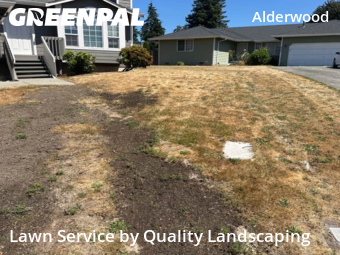 Yard Mowing in Lynnwood, 98036, Weed Trimming by Quality Landscaping, work completed in Nov , 2025