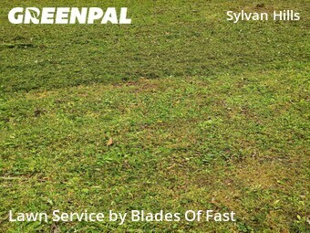 Lawn Cutting nearby Atlanta, GA, 