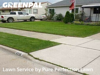 Yard Care Services in Wyandotte, 48192, Lawn Management by Pure Perfection Lawn, work completed in Nov , 2025
