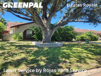 Landscape Design In Mc Allen,78504,Landscaping by Rojas Yard Service, work completed in Nov , 2025