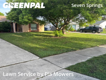 Lawn Cut nearby Trinity, FL, 