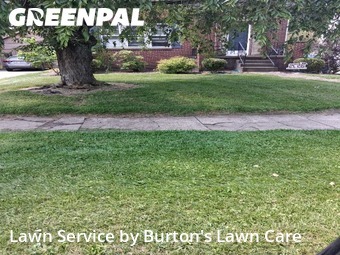 Yard Cutting nearby Youngstown, PA, 