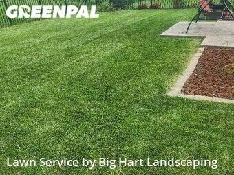 Grass Cut nearby Clinton Township, MI, 