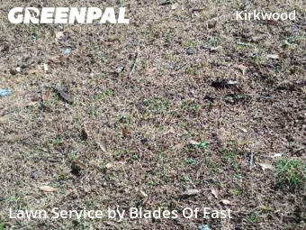 Lawn Care nearby Atlanta, GA, 