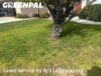 Lawn mowing work completed in Manteca, CA