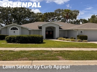 Lawn Mow nearby Spring Hill, FL, 