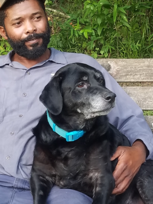 Robinson Lawn Care  headshot