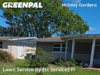 Lawn Cut nearby Holiday, FL, 