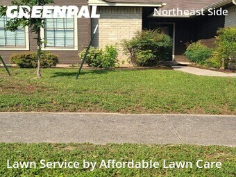 Yard Cutting nearby Schertz, TX, 