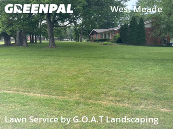 Lawn Mow nearby Nashville, TN, 