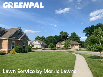 Yard Mowing nearby Maumee, OH, 