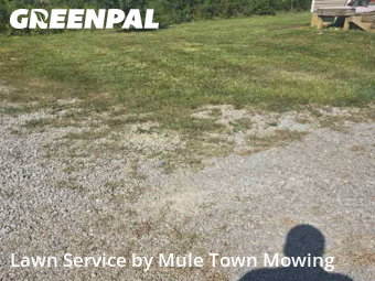 Lawn Mow nearby Chapel Hill, TN, 