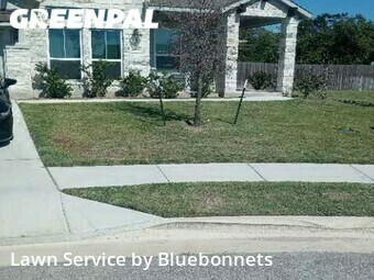 Lawn Cut nearby Round Rock, TX, 