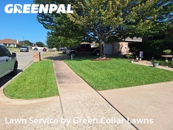 Yard Cutting nearby Grand Prairie, TX, 