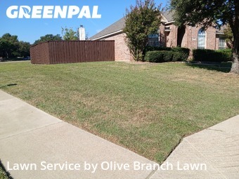 Grass Cuttingin Keller,76248,Lawn Mow by Olive Branch Lawn, work completed in Nov , 2025