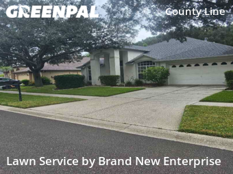 Grass Cut nearby Tampa, FL, 